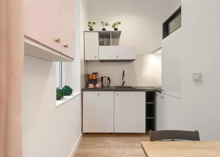 Kamienica Centrum Nr 10 アパート